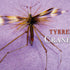 Tyrrell's Crane Fly - Irish Angler Magazine August 2010