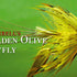Tyrrell's Golden Olive Mayfly - Irish Angler Magazine July 2012