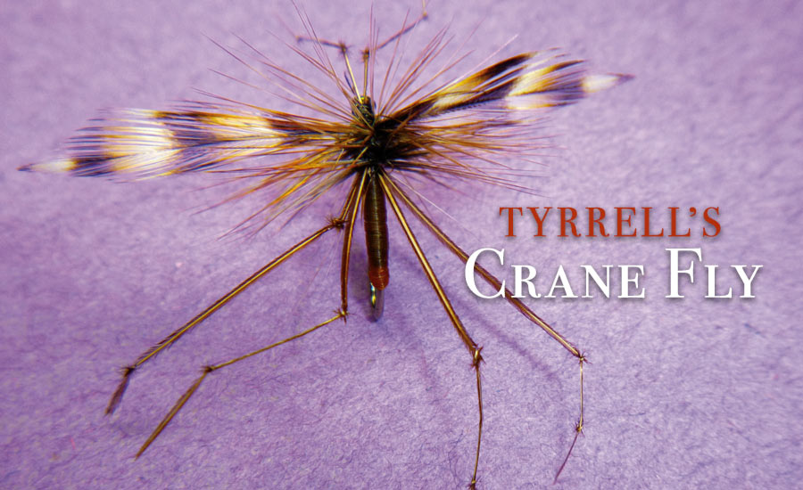 Tyrrell's Crane Fly - Irish Angler Magazine August 2010