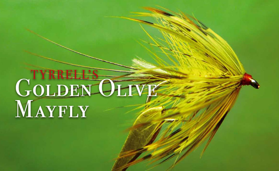 Tyrrell's Golden Olive Mayfly - Irish Angler Magazine July 2012