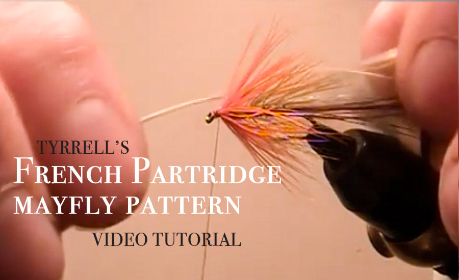 French Partridge Mayfly Pattern - Video Tutorial