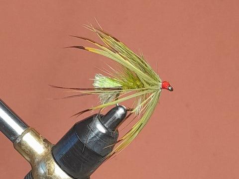 Olive French partridge mayfly