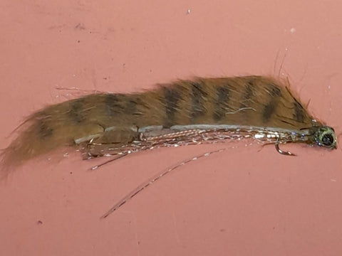 Olive Snake fly