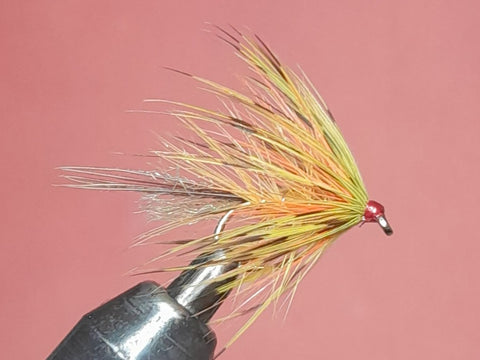 Olive French partridge mayfly