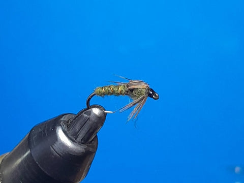 dark olive nymph
