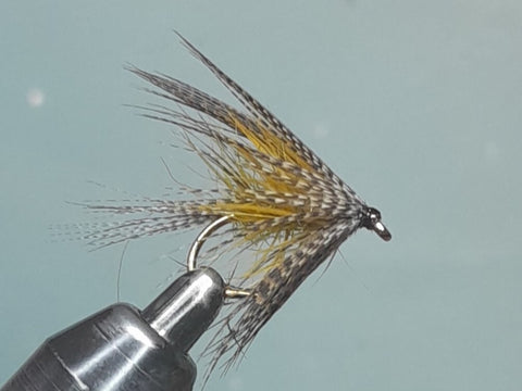 Olive Dabbler