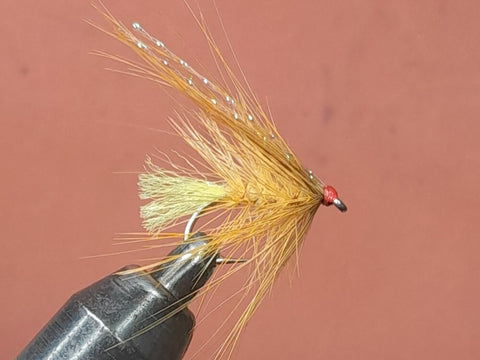 Octopus Mayfly
