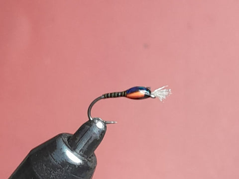 quill body epoxy buzzer