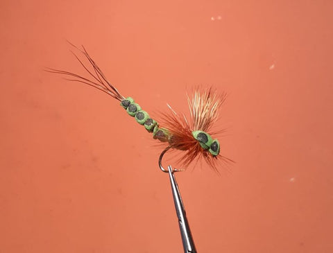 Olive Mohican Mayfly