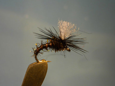 Black Gnat Parachute