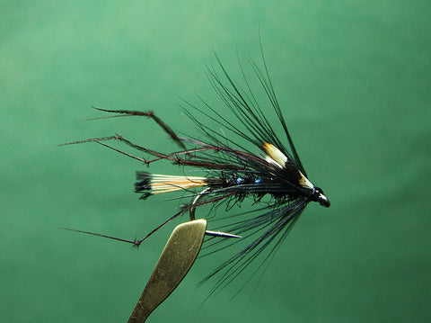 Black Jungle Bunny Hopper