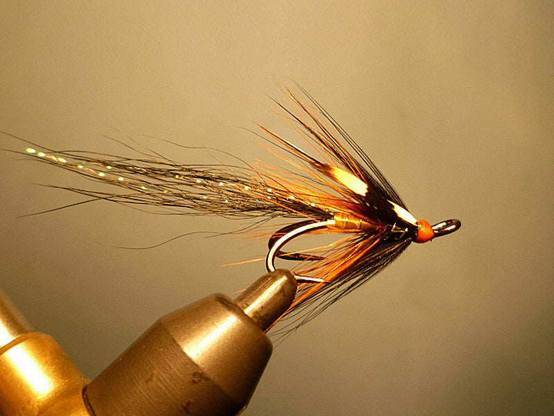 Shrimple Fly- Fly Tying Tutorial - Shrimp fly Pattern for Cutthroat and  Salmon 