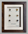 Brown wooden box frame with 6 Irish Lough Flies