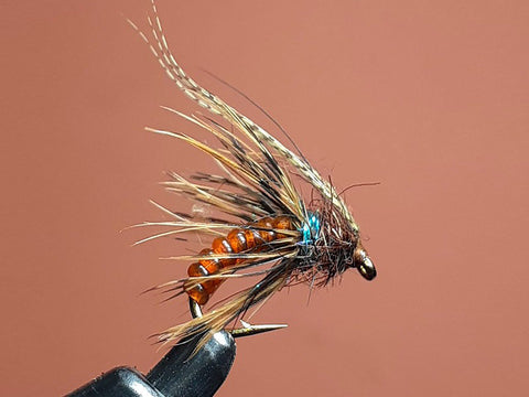 Caddis Pupae