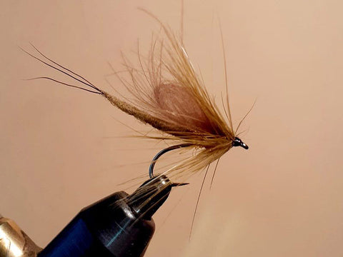 Detached Loopwing Mayfly