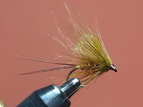 Loopwing Olive Mayfly